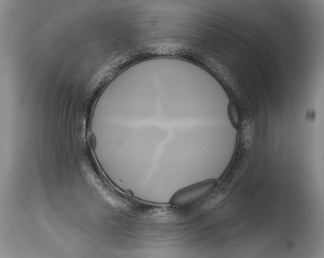 X0000114670589200911181209