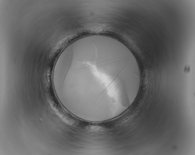 X0000114670590200911181209