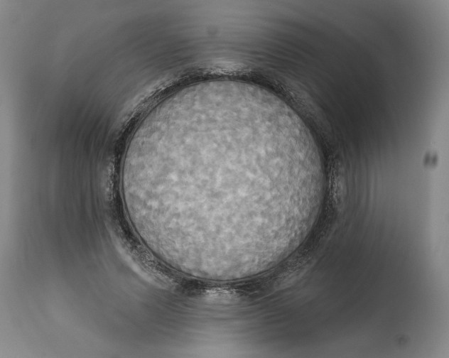 X0000114670591200911181209