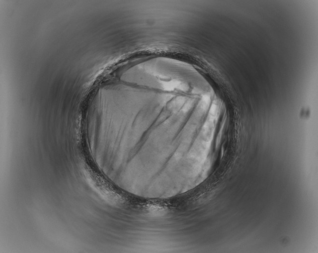 X0000114670592200911181209