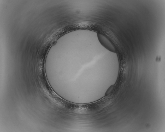 X0000114670593200911181209