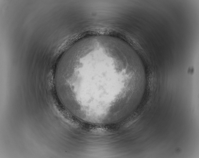 X0000114670594200911181209