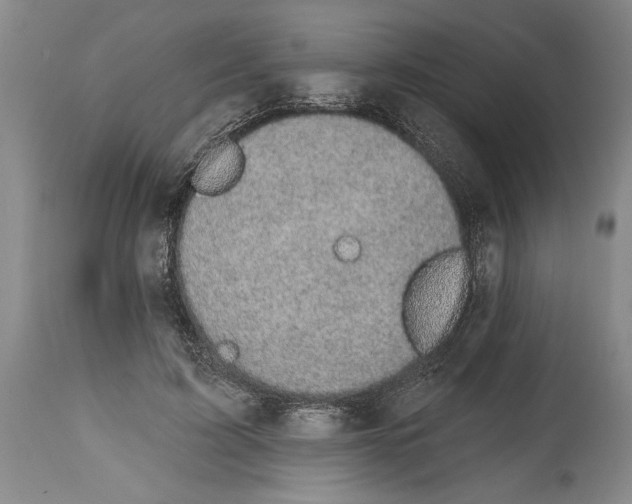 X0000114670595200911181209