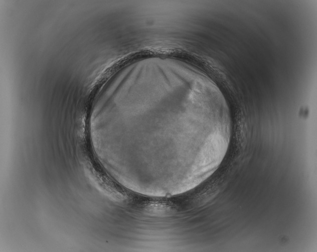 X0000114670596200911181209