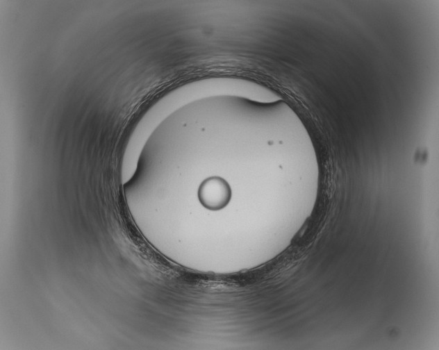 X0000114670597200911181209