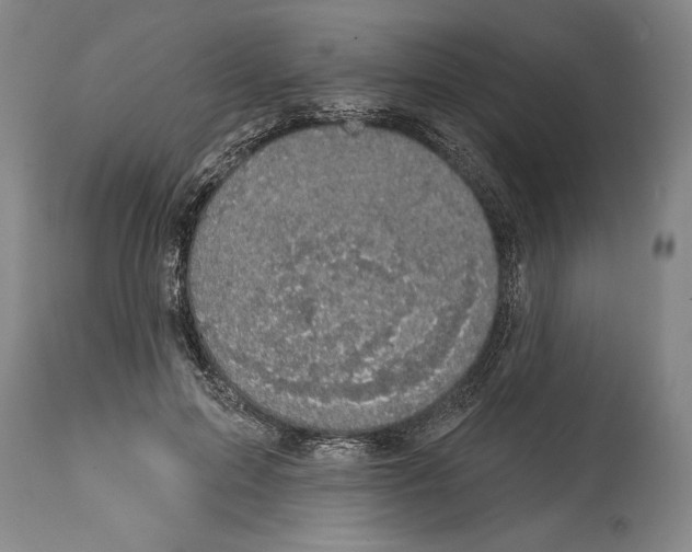 X0000114670599200911181209