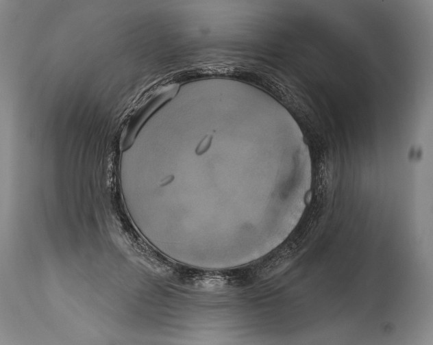 X0000114670600200911181209