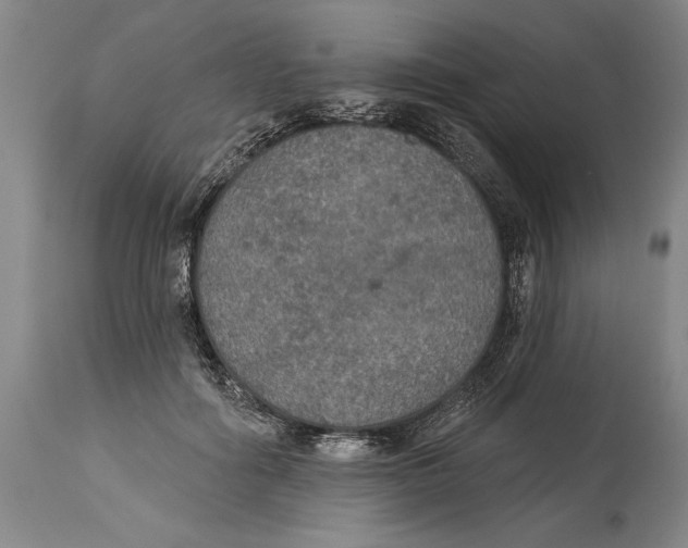 X0000114670602200911181209