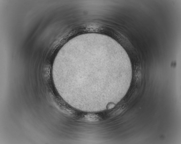 X0000114670603200911181209