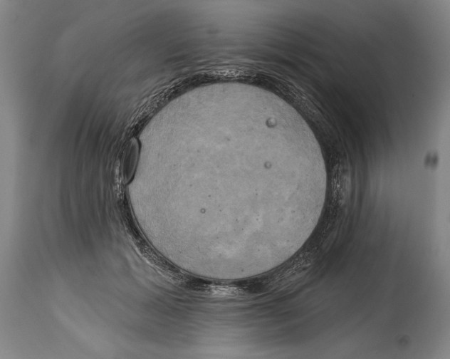 X0000114670605200911181209