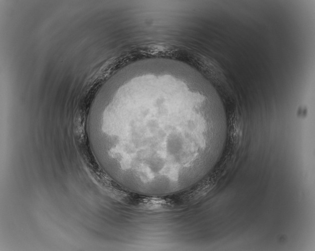 X0000114670607200911181209