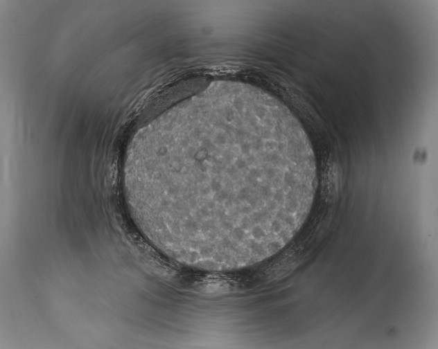 X0000114670608200911181209