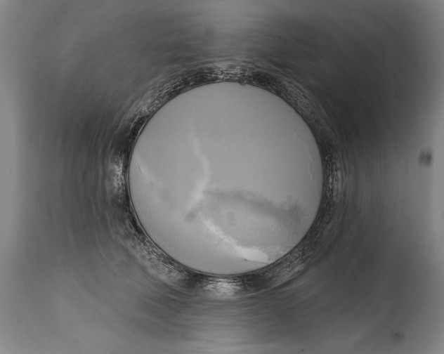 X0000114670610200911181209