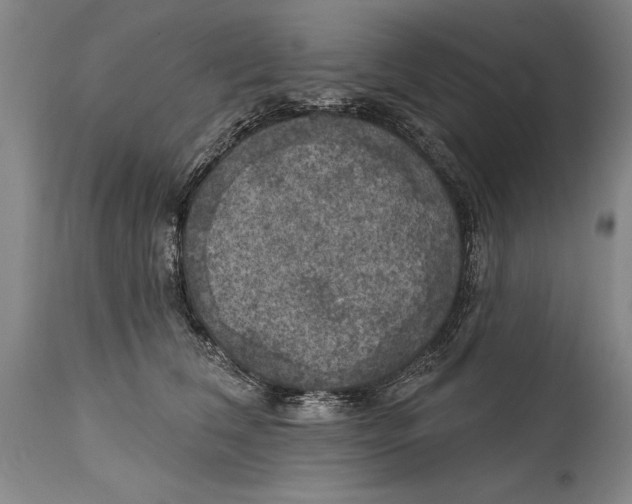 X0000114670612200911181209