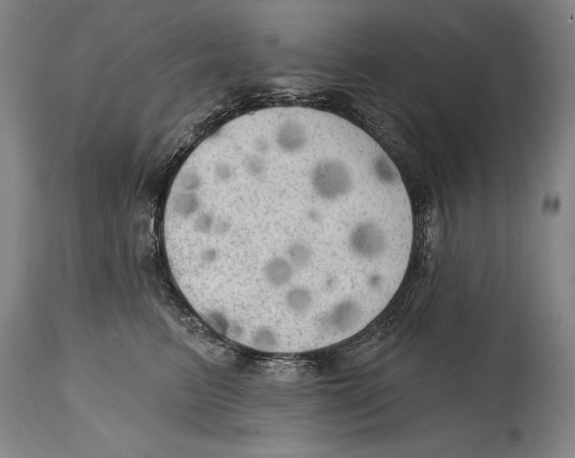 X0000114670615200911181209