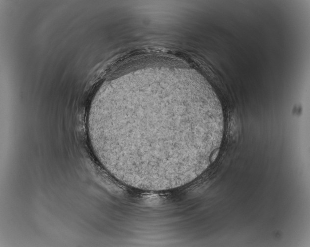 X0000114670616200911181209