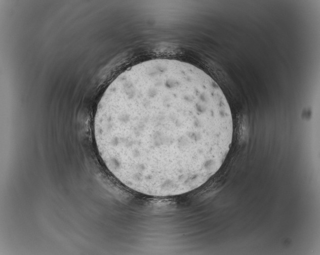 X0000114670619200911181209