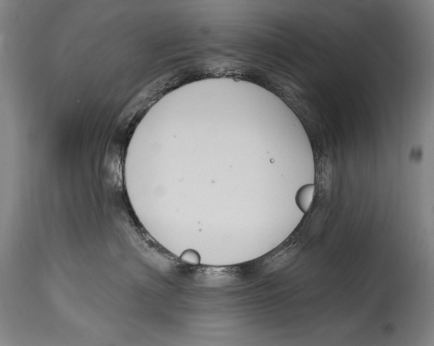 X0000114670622200911181209