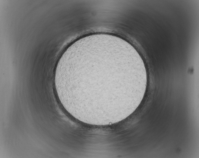 X0000114670625200911181208