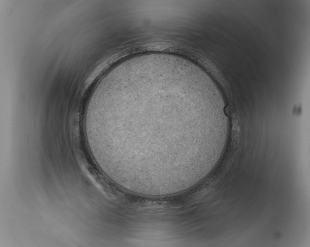 X0000114670626200911181208