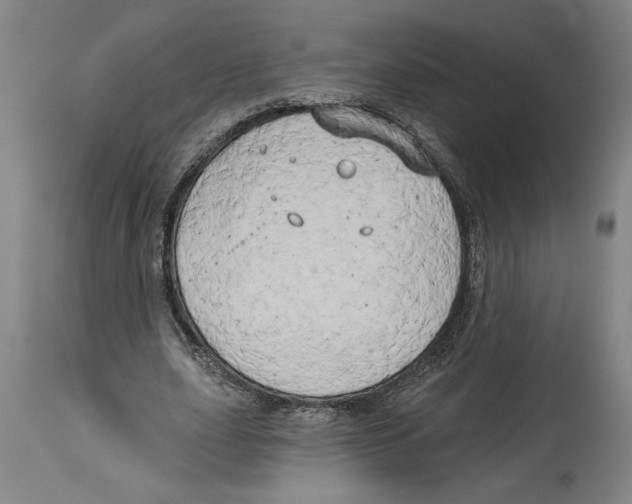 X0000114670631200911181208