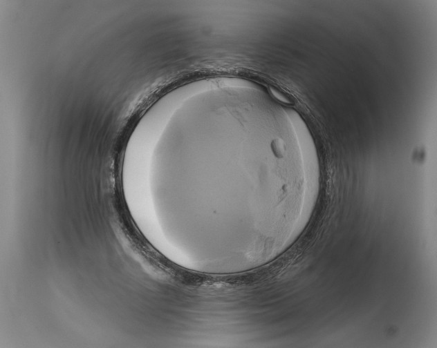 X0000114670634200911181208