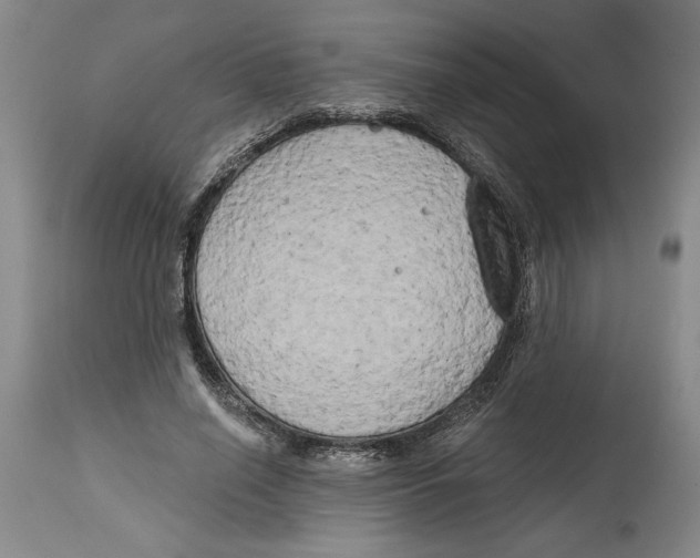 X0000114670638200911181208