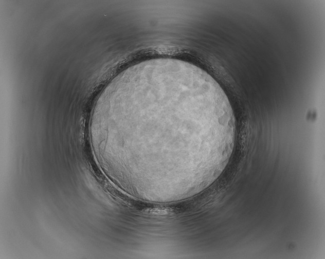 X0000114670639200911181208