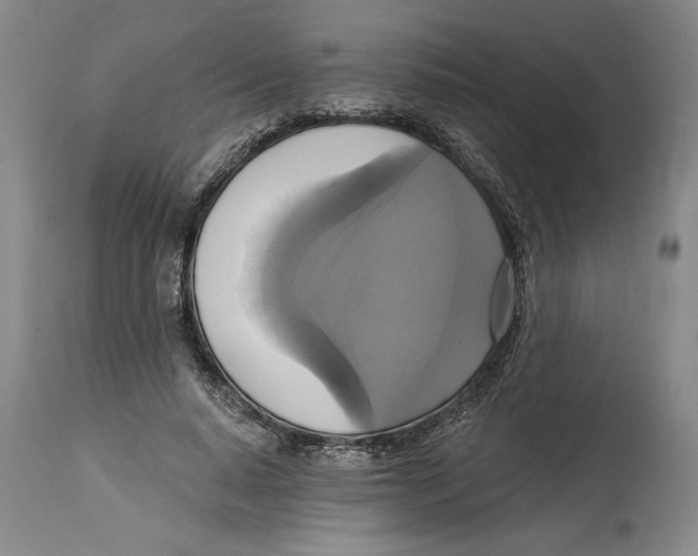 X0000114670640200911181208