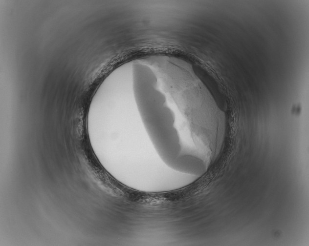 X0000114670642200911181208