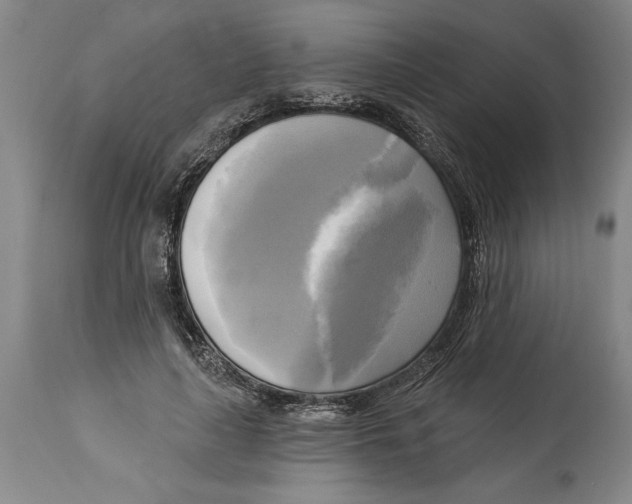 X0000114670643200911181208