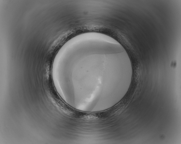 X0000114670644200911181208