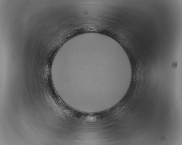 X0000114670647200911181208