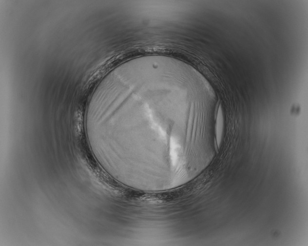 X0000114670648200911181208