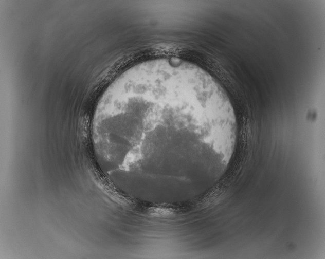 X0000114670649200911181208