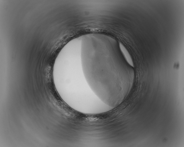 X0000114670650200911181208