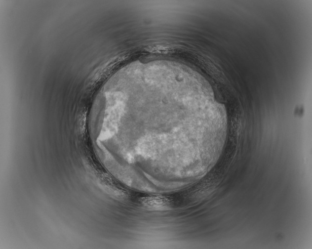 X0000114670652200911181208