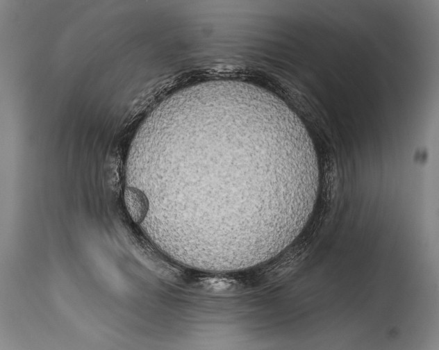 X0000114670654200911181208