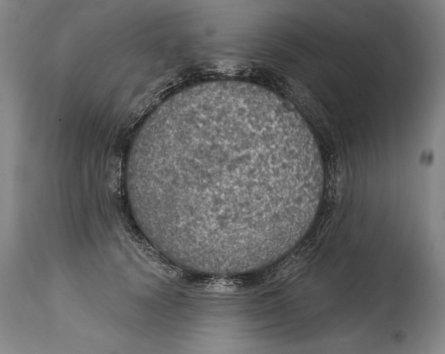 X0000114670656200911181208