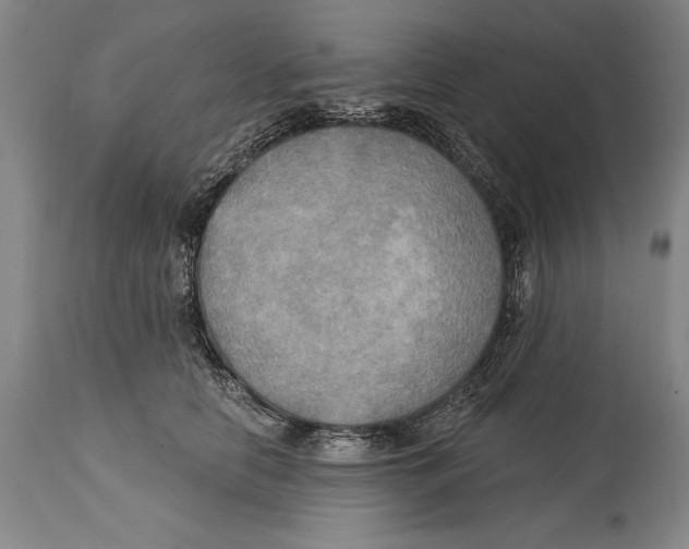 X0000114670658200911181208