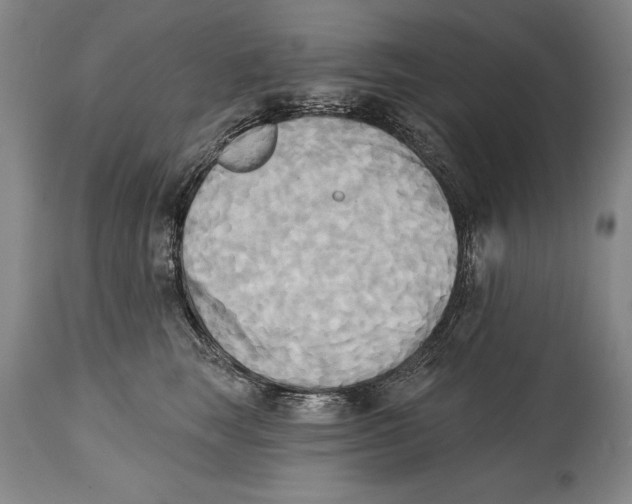 X0000114670663200911181208