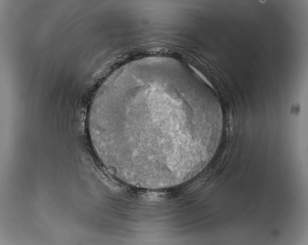 X0000114670664200911181208