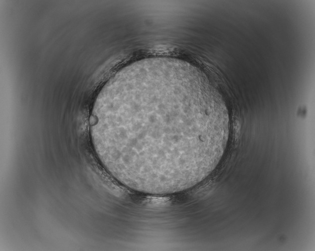 X0000114670665200911181208