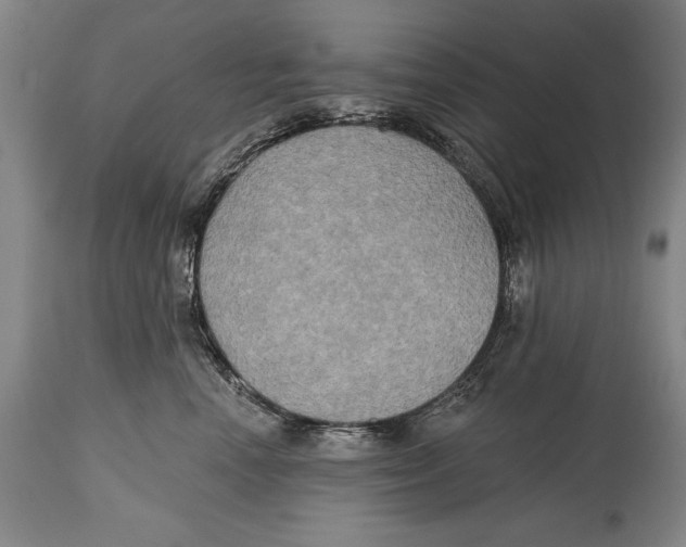 X0000114670666200911181208