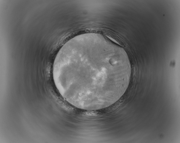 X0000114670668200911181208