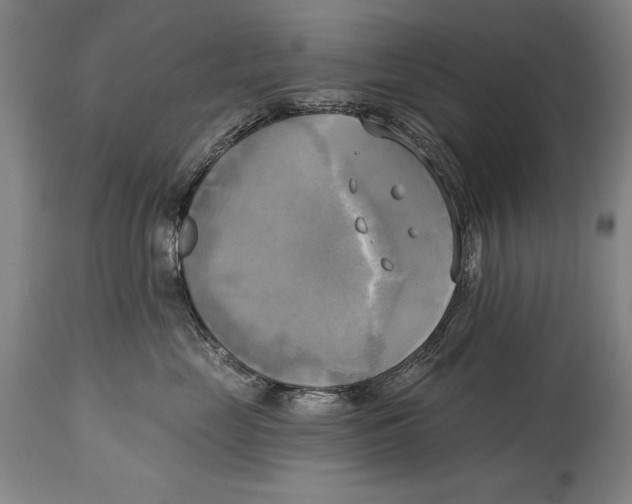 X0000114670669200911181208