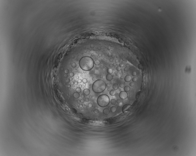 X0000114670671200911181208