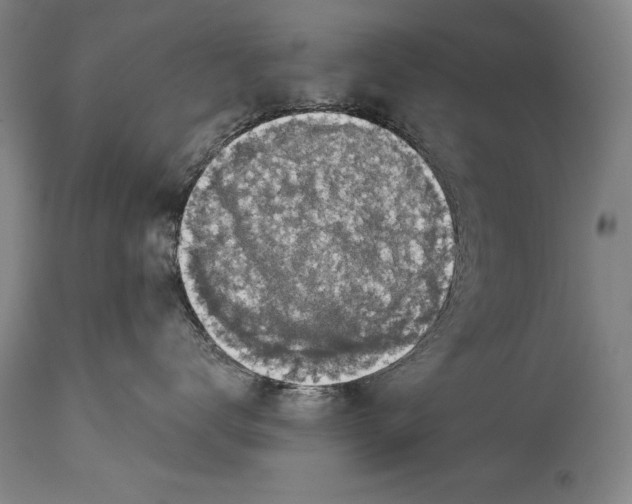 X0000114670672200911181209