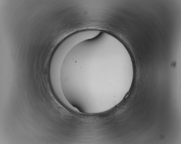 X0000114670673200911181208