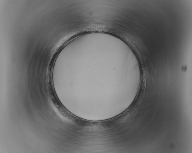 X0000114670674200911181208